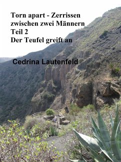 Torn apart - Zerrissen zwischen zwei Männern (eBook, ePUB) - Lautenfeld, Cedrina