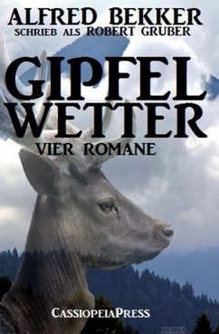 Gipfelwetter (Vier Romane) (eBook, ePUB) - Bekker, Alfred