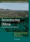 Deconstructing Olduvai: A Taphonomic Study of the Bed I Sites