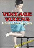 Vintage Vixens (Collected Stories) (eBook, ePUB)