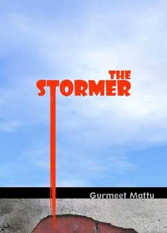 The Stormer (eBook, ePUB) - Mattu, Gurmeet