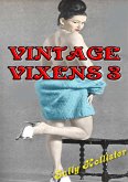 Vintage Vixens 3 (eBook, ePUB)