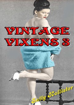 Cover Vintage Vixens 3 (eBook, ePUB)