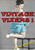 Vintage Vixens 1 (eBook, ePUB)