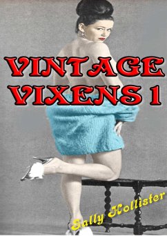 Vintage Vixens 1 (eBook, ePUB) - Hollister, Sally