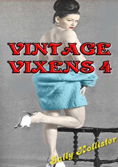 Vintage Vixens 4 (eBook, ePUB) - Hollister, Sally