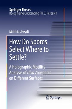 How Do Spores Select Where to Settle? - Heydt, Matthias