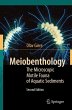 Meiobenthology - Bild 1