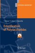 Esterification of Polysaccharides - Bild 1