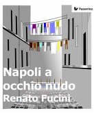 Napoli a occhio nudo (eBook, ePUB)