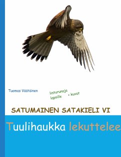Satumainen satakieli VI Tuulihaukka lekuttelee (eBook, ePUB)