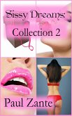 Sissy Dreams: Collection 2 (eBook, ePUB)