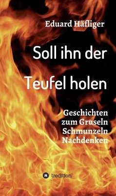 Soll ihn der Teufel holen (eBook, ePUB) - Häfliger, Eduard