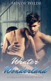 Winter Wonderland (A Romantic Short Story) (eBook, ePUB)