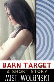 Barn Target (Overhill) (eBook, ePUB)