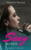 The Job (Sexy Secrets Vol. 3) (eBook, ePUB) The Job (Sexy Secrets Vol. 3) (eBook, ePUB)