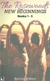 New Beginnings - The Rosewoods Series - Books 1 - 3 + Bonus (eBook, ePUB)