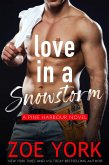 Love in a Snowstorm (Pine Harbour, #2) (eBook, ePUB)