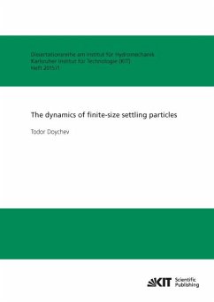 The dynamics of finite-size settling particles - Doychev, Todor