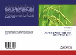 Alarming Pest of Rice- Rice Yellow Stem Borer