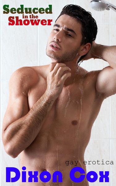 Seduced In The Shower (eBook, ePUB)
