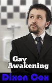 Gay Awakening (eBook, ePUB)