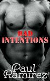 Bad Intentions (eBook, ePUB)