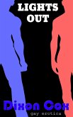 Lights Out (eBook, ePUB)