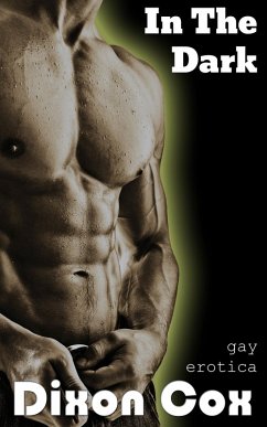 Cover In The Dark (eBook, ePUB)