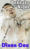 Bukkake At Night (eBook, ePUB)
