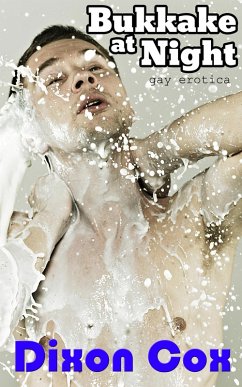 Cover Bukkake At Night (eBook, ePUB)