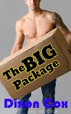 The Big Package (eBook, ePUB)