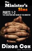 The Minister's Sins - The Seduction and Taking of the Minister (eBook, ePUB)