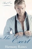 The Escort (The Escort Series, #1) (eBook, ePUB)