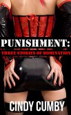 Punishment: Three Stories of Domination (eBook, ePUB) Punishment: Three Stories of Domination (eBook, ePUB)