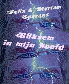 Cover Bliksem in mijn hoofd (eBook, ePUB)