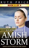 A Lancaster Amish Storm - Book 1 (A Lancaster Amish Storm (Amish Faith Through Fire), #1) (eBook, ePUB)