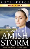 A Lancaster Amish Storm - Book 1 (A Lancaster Amish Storm (Amish Faith Through Fire), #1) (eBook, ePUB) A Lancaster Amish Storm - Book 1 (A Lancaster Amish Storm (Amish Faith Through Fire), #1) (eBook, ePUB)