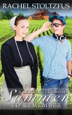 A Lancaster Amish Summer to Remember (Lancaster County Seasons (An Amish of Lancaster County Saga), #1) (eBook, ePUB)