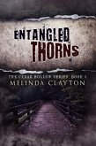 Entangled Thorns (Cedar Hollow Series, #3) (eBook, ePUB)