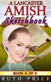 A Lancaster Amish Sketchbook - Book 3 (A Lancaster Amish Sketchbook Serial (Amish Faith Through Fire), #3) (eBook, ePUB)