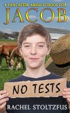 A Lancaster Amish School for Jacob (A Home for Jacob, #4) (eBook, ePUB)