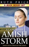 A Lancaster Amish Storm 3-Book Boxed Set (A Lancaster Amish Storm (Amish Faith Through Fire), #4) (eBook, ePUB)