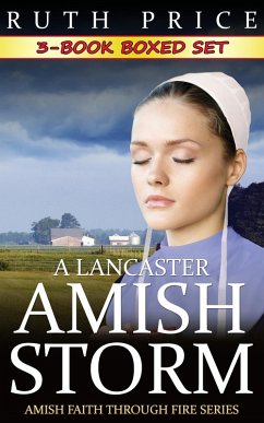 A Lancaster Amish Storm 3-Book Boxed Set (A Lancaster Amish Storm (Amish Faith Through Fire), #4) (eBook, ePUB) - Price, Ruth