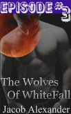 Episode 3: The Wolves Of Whitefall (eBook, ePUB)