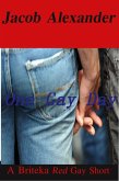 One Gay Day (eBook, ePUB)