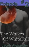 Episode 2: The Wolves Of Whitefall (eBook, ePUB)