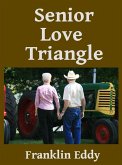 Senior Love Triangle (eBook, ePUB)
