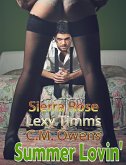 Summer Lovin' (eBook, ePUB)