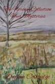 The Florence Collection: Four Mysteries (eBook, ePUB) The Florence Collection: Four Mysteries (eBook, ePUB)